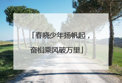 春晓少年扬帆起，奋楫乘风破万里